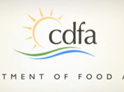 California approvato nuovi standard qualità l'olio d'oliva.