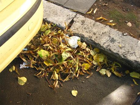 Stanno arrivando le piogge e la città si allagherà irrimediabilmente. Il motivo è in queste foto