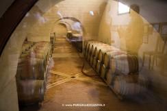 Apulia Attraction visita le Cantine Tormaresca