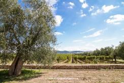 Apulia Attraction visita le Cantine Tormaresca