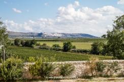 Apulia Attraction visita le Cantine Tormaresca