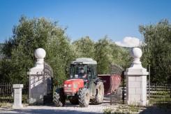 Apulia Attraction visita le Cantine Tormaresca