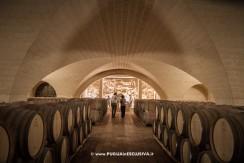 Apulia Attraction visita le Cantine Tormaresca