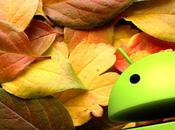 Autumn leaves cadono foglie vostri Android