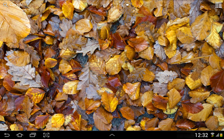  Autumn leaves 3D LWP   cadono le foglie sui vostri Android
