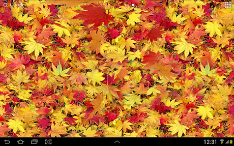  Autumn leaves 3D LWP   cadono le foglie sui vostri Android