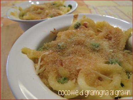 COCOTTE DI GRAMIGNA AL GRATIN