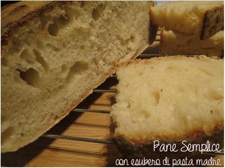 PANE SEMPLICE con esubero di pasta madre