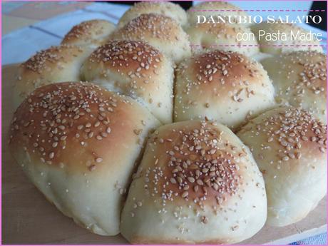 DANUBIO SALATO con pasta madre