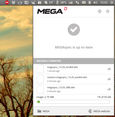 mega-sync-linux