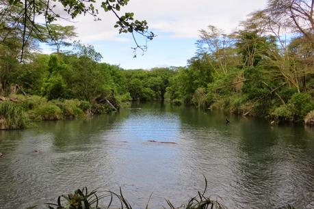 safari in kenya di quattro giorni tsavo ovest