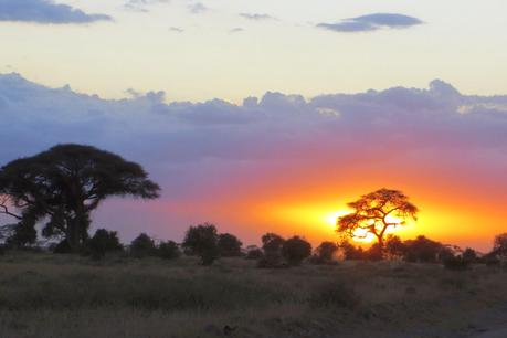 safari in kenya di quattro giorni amboseli