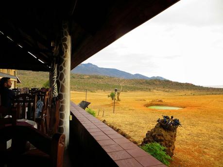 safari in kenya di quattro giorni tsavo ovest