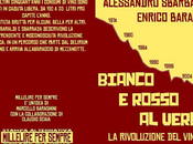 Sbarbada Baraldi, teoria prassi rivoluzionari