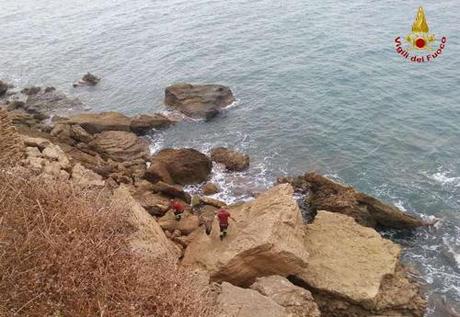 Cane salvato dai vigili del fuoco sulla scogliera di Capo Colonna