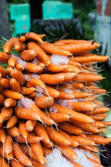 Stamattina mi sono svegliata e c'erano 3 gradi. Va bene c...