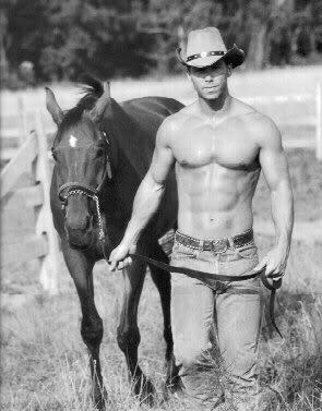 Dark Horse Series di Kate Sherwood