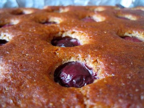 Quadrotti alle ciliegie- Cherry cake squares