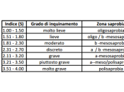 Indicatori biologici delle acque dolci: Sistema Saprobie