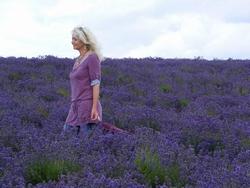 Riproduzione Lavanda tramite talea