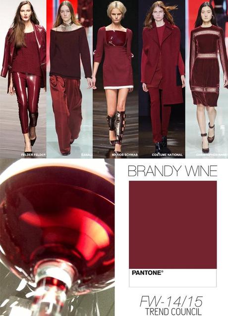 brandy-wine-color-fall-2014