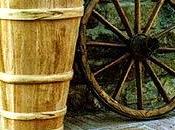 Essere bigoncia, essere tutto suoi cenci, esser fatto, essr fritto, quale Parole verbi disuso