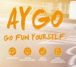 AYGO ... GO FUN YOURSELF!!!