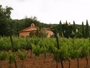 Valcolombe un’azienda verde in Provenza