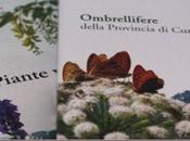 Nuove letture giardino