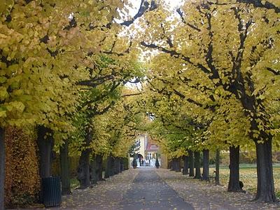 COPENHAGEN IN AUTUNNO