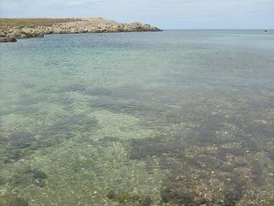 SPIAGGE DI MINORCA