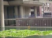 Barbican centro multi-artistico londra