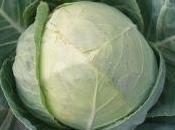 bambini nati sotto cavolo