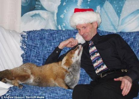 Creature comforts: Steve Edgington with Miss Snooks on the sofa of the FOX'S flat in Hassocks, West Sussex