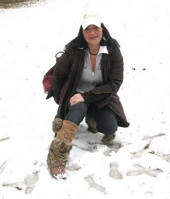 SUI LIBRI - CHEESE CAKE ALLE FRAGOLE -  CREAMY BAKED STRAWBERRY CHEESECAKE