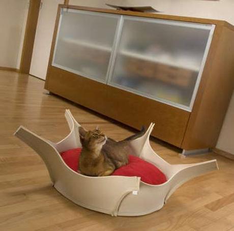 funky-and-comfortable-cat-bed-picture