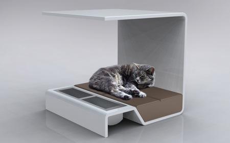 Modern_Cat_Bed2-thumb-450x279