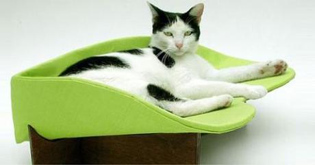 Cat’s bed design, perchè anche loro sono amanti delle cose belle