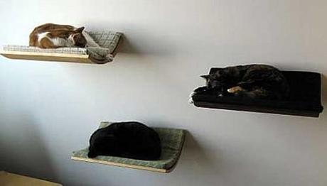 CatNap-Creative-Cat-Bed-Design