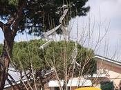 Albero "addobbato"
