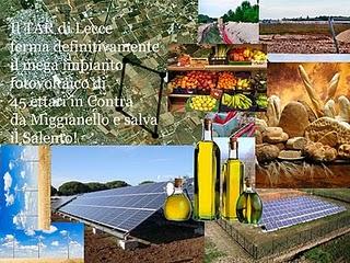 L’agricoltura del Salento, il Paesaggio e la tutela dell’ambiente