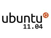 Ubuntu 11.04 sfondi candidati