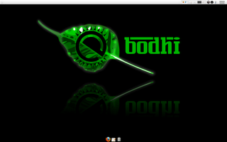 Bodhi Linux, una distribuzione per netbook basata su Ubuntu.