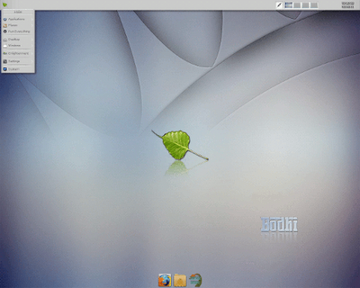 Bodhi Linux, una distribuzione per netbook basata su Ubuntu.