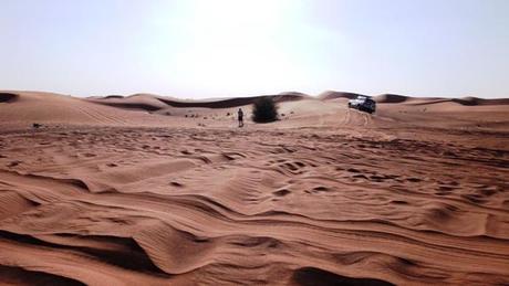 Sabato 19 febbraio. Il deserto di Dubai.