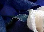 All'insegna dell'amore