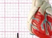cuore batte: ecco perchè