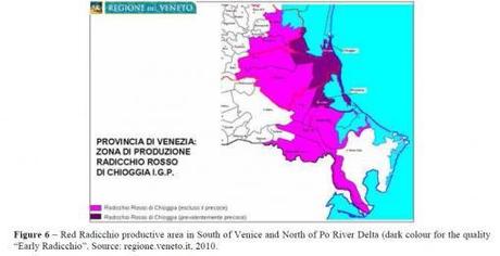 Cibo italiano e cambiamento climatico: il caso del Radicchio di Chioggia