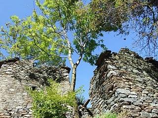 Val Grande, alla ricerca di Atlantide: Corte Buè (888m)