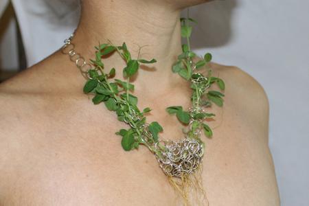 Gioielli green / Growing jewellery